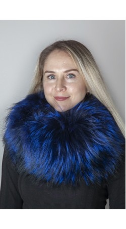 Electric blue Finnraccoon  fur neck warmer